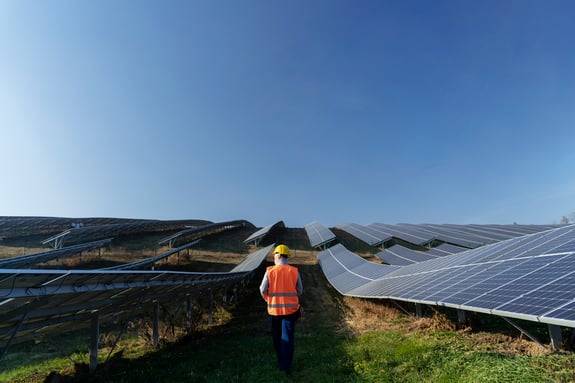 persona-cerca-planta-energia-alternativa-1